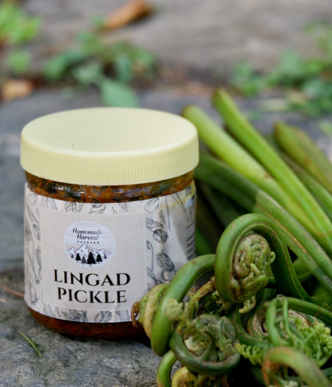 Homemade Harvest Lingad Pickle