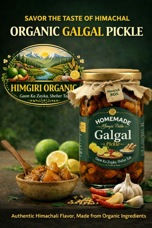 Himgiri Organic Homemade Galgal Pickle